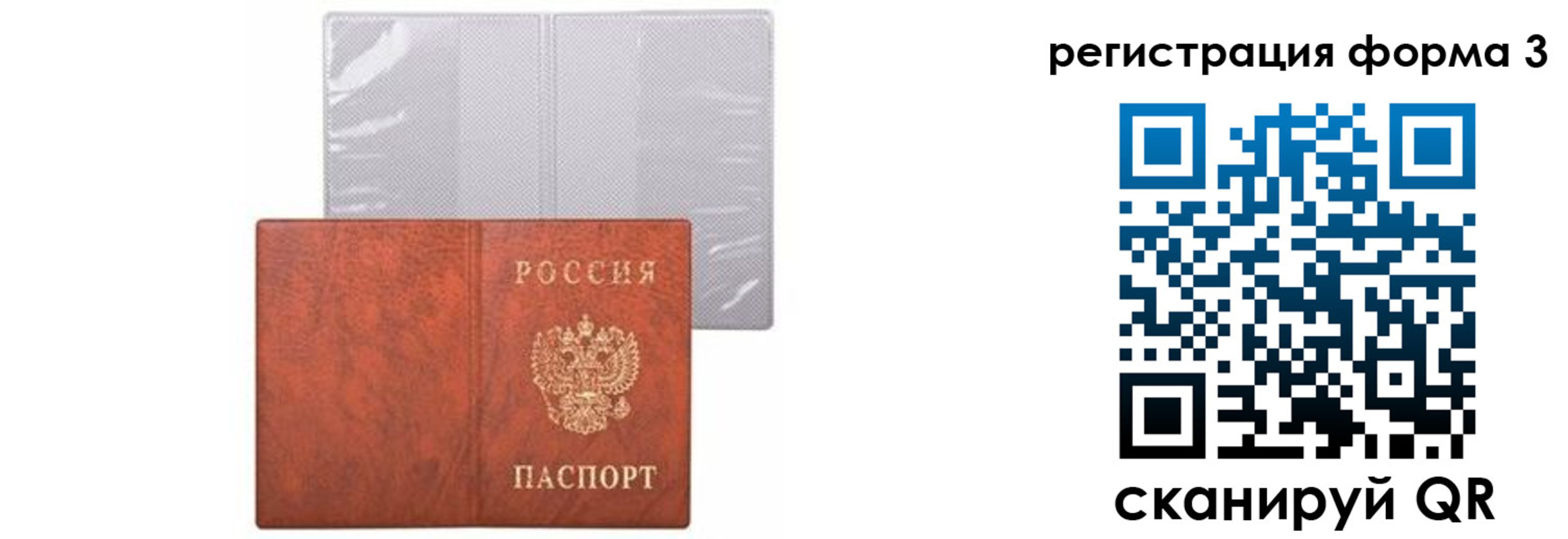 прописка 2025 в Боровичах